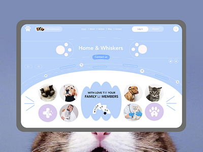 Pet Care Landing Page animals application cleaning feeding homepage interaction design landing page medicine mobile motion design pet pet care pets ui user interface ux vet platform vet service veterinary web