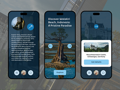 Travel App design graphic design