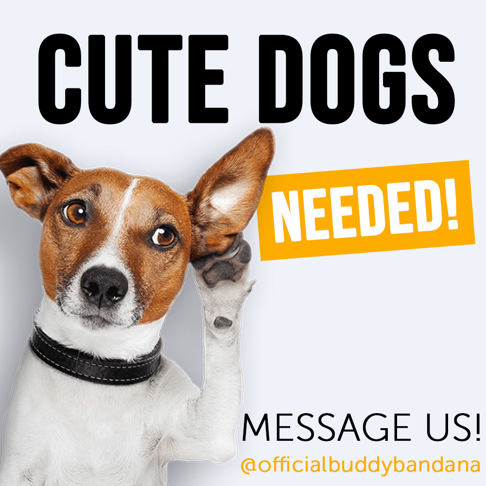 Instagram Ads ads banner branding design graphic design illustration instagram ads vector