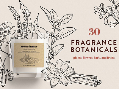 Fragrance Botanicals 30 designs aromatic botanical illustration essential blends fragrance botanicals frankincense narcissus neroli parfume patchouli perfumery tonka bean