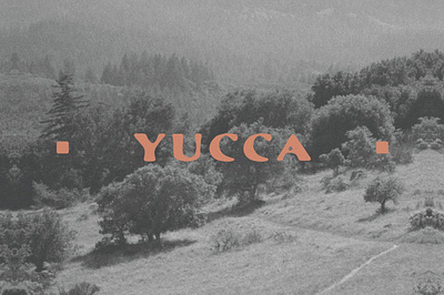 Yucca Typeface Font Design california font desert font font fonts goldrush font hand drawn font hand font jessie jay font land boys font land font mexican font mexico font natural font southwest font true hand font truehand font typeface font typefaces yuuca font