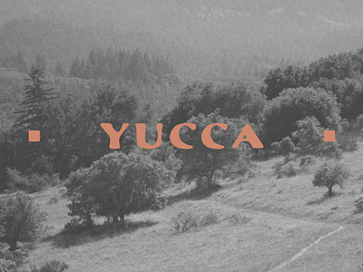 Yucca Typeface Font Design california font desert font font fonts goldrush font hand drawn font hand font jessie jay font land boys font land font mexican font mexico font natural font southwest font true hand font truehand font typeface font typefaces yuuca font