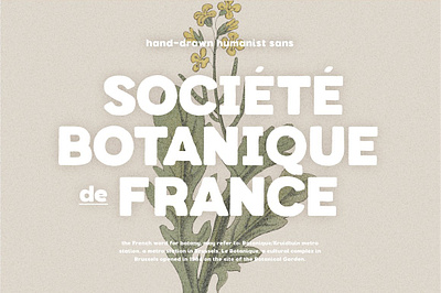 Botanique - Hand-drawn Humanist Sans elegant font hand drawn font organic shape font rough font simple font