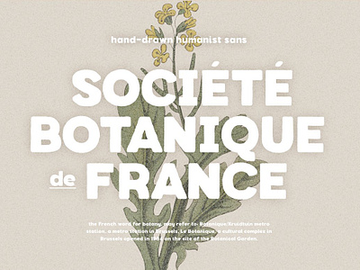 Botanique - Hand-drawn Humanist Sans elegant font hand drawn font organic shape font rough font simple font