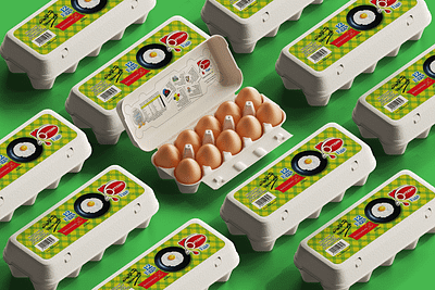 Options Eggs - Packaging branding graphic design illustration packaging