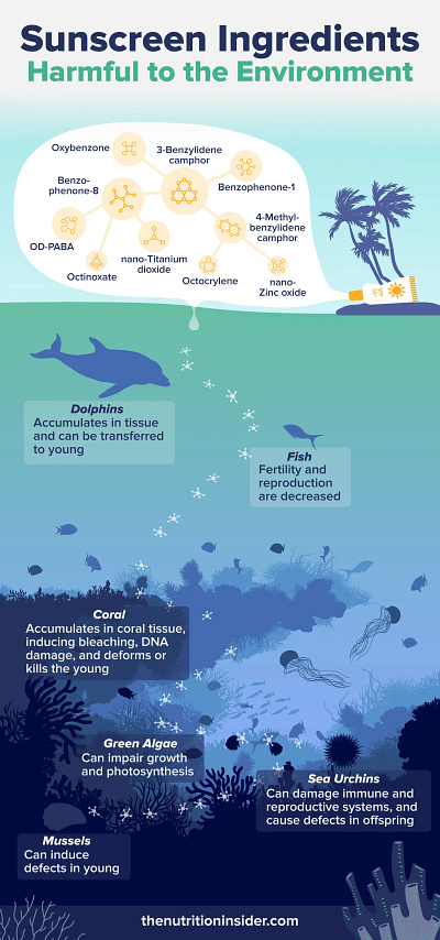 Harmful Sunscreen Ingredients Infographic coral safety corals ecology graphic design harmful ingredients infographic marine life nature planet reef safe reefs safety sea life sunscreen sunscreen ingredients sunscreen safety sunscreen sustainability