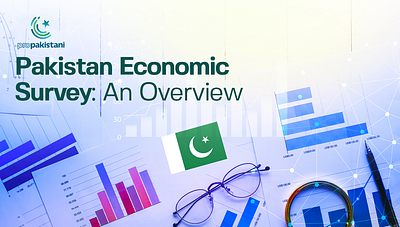 Pakistan Economic Survey - Infographics booklet illustration infographics social media