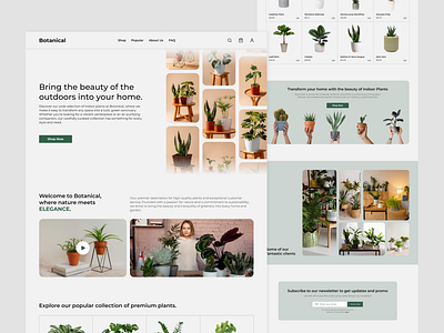Plants E-commerce Website - Daily UI #012 dailyui e commerce e commerce shop ecommerce ecommerce design plant e commerce plants ecommerce plants ecommerce website plants website ui ui design uxui website website design