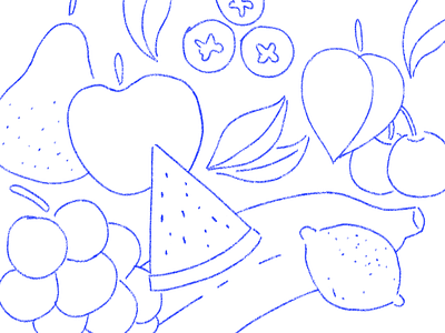 fruit fruit hand drawing line sketch