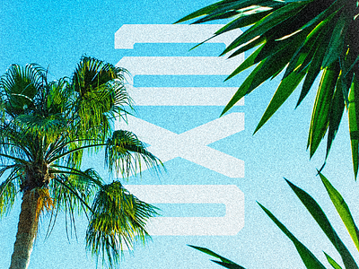 Solar Pros - Double XP Incentive Promo I 2xp design double xp freedom forever freedom solar graphic design instagram logo logo design marketing photo manipulation photoshop promo promotion social media solar pros solarpros