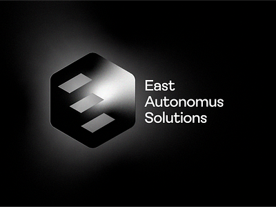 EAST Branding branding graphic design logo ui