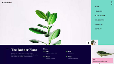 The Rubber Plant Showcase adobe animation brand branding creative designer designinspiration graphic graphic design icon illustrator logo photos photoshop sketch typography ui videos webdesign
