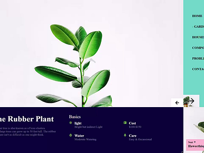 The Rubber Plant Showcase adobe animation brand branding creative designer designinspiration graphic graphic design icon illustrator logo photos photoshop sketch typography ui videos webdesign