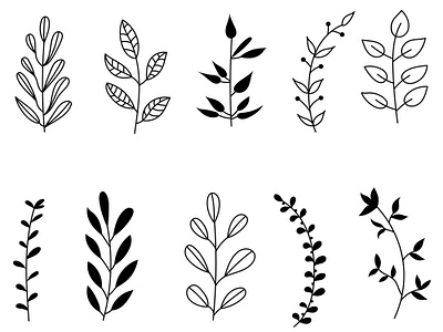 Pattern of cute ornamental plants leaves grasses app branding design graphic design illustration logo typography ui ux vector