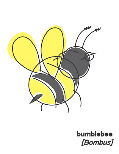 bumblebee illustration illustrator line drawing nature pastel