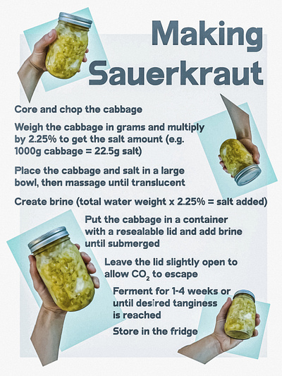 making sauerkraut food illustrator photography photoshop