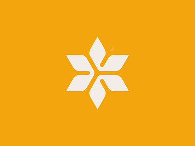 Fluerette abstract aesthetic design dynamic floral logo logo logo design modern orange rotation unique