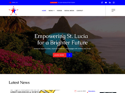Political Party Website - News and Blog Platform Design and Dev figma political website web design web development