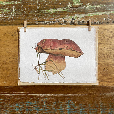 Nature's Stories | Cards & Prints | Happy Mushroom autumn botanical card colored pencil earthy happy illustration minimalistic mushroom nature print reds simple summer tans warm