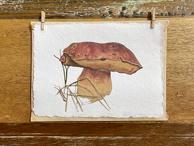 Nature's Stories | Cards & Prints | Happy Mushroom autumn botanical card colored pencil earthy happy illustration minimalistic mushroom nature print reds simple summer tans warm