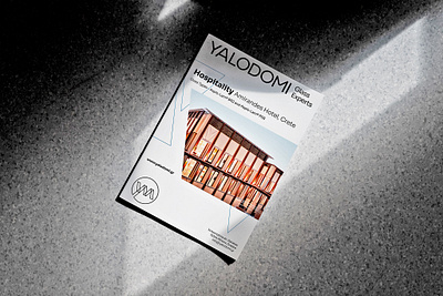 YALODOMI PROPOSAL FOR SALES