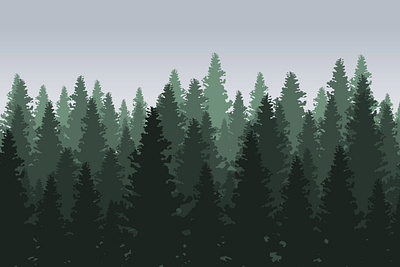 Pine Forest Illustration cloudy design forst graphic design illustration nature pine scenery trees vector