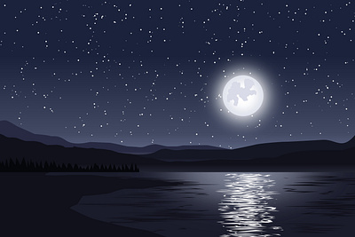 Night Illustration design graphic design illustration nature night scenery starry vector