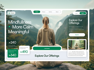 Meditation and Wellness Website design health website hero section medical meditation mindfullness treatment ui user interface ux web design website wellness