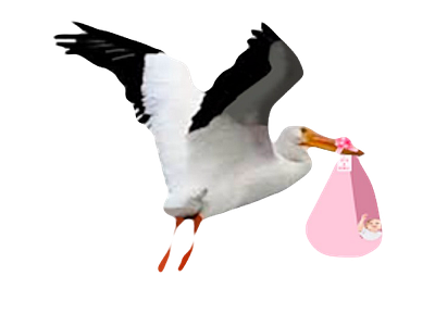 Special Delivery Baby Girl delivering delivery flying infant pink sack stork white background