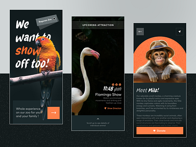 App - Uri Zoo animal app attraction branding clean donate donation ui zoo