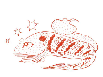 Seaside doodles 2d art animal design character design concept art drawing illustration sketchbook