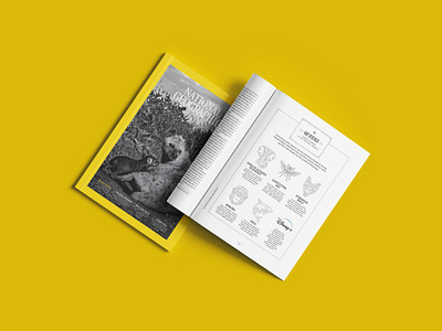 Nat Geo Magazine: Editorial Illustrations Full Preview animals branding design editorial illustrations geometric icons illustration line lineart logo magazine minimal minimalist monoline monoline logo nat geo national geographic queens single line wildlife