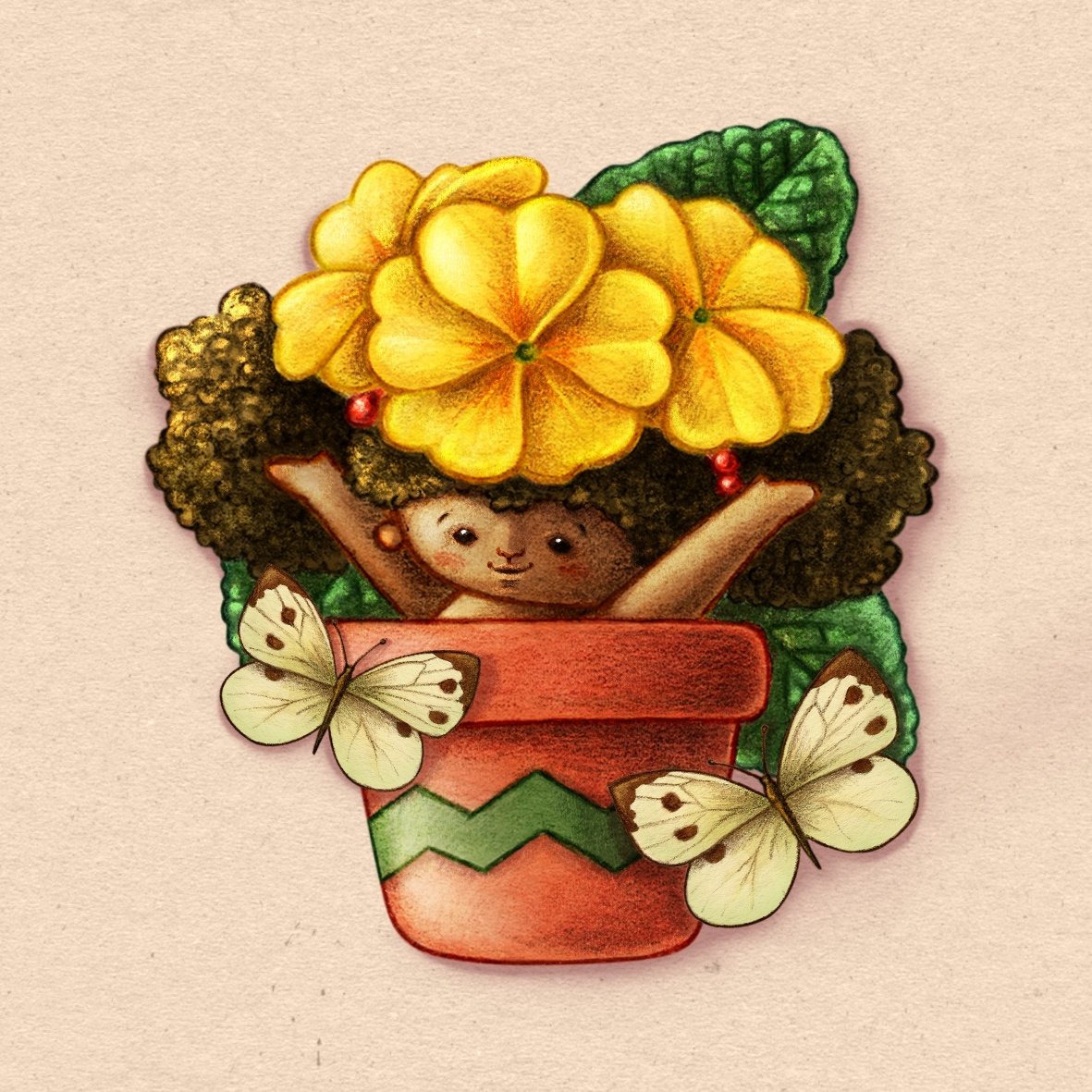 Example of Baby primrose.