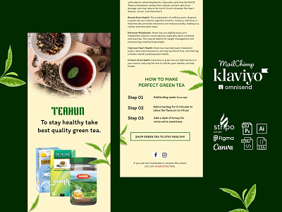 Green Tea Email Design email design email template fitness food email design green tea email design health email design sliming tea tea email design