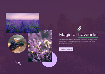 Magic of Lavender nature ui unsplash webpage