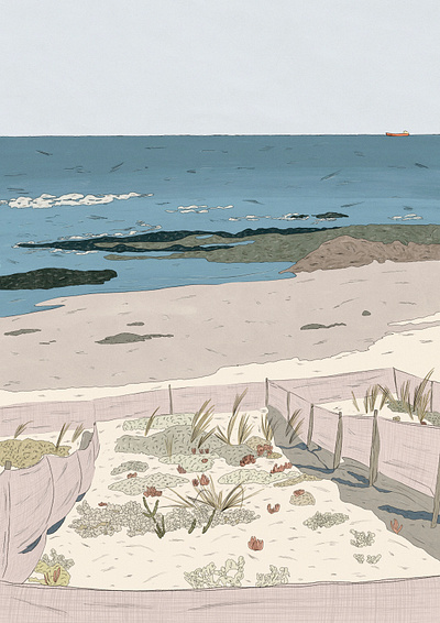 Blouberg 2d artwork beach details illustration landscape procreate summer texture