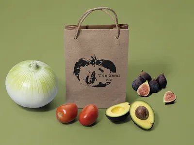 The Seed 1947 branding graphic design illustration logo