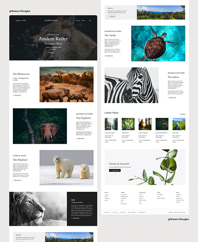 Animal Exhibiton UI animal design graphic design pets ui ux