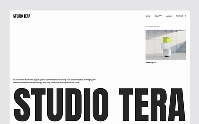 Studio Tera editorial minimal ui webdesign webflow website