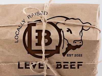 Level Beef Brand Identity brand identity branding design graphic design illustration logo package design typography vector