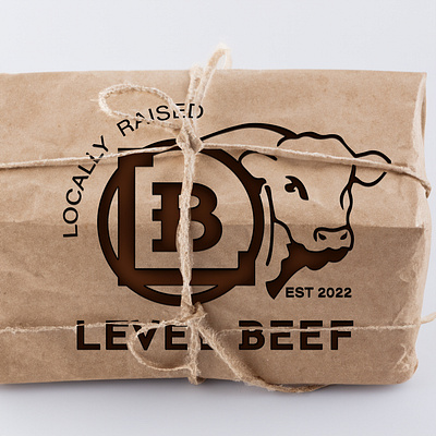 Level Beef Brand Identity brand identity branding design graphic design illustration logo package design typography vector