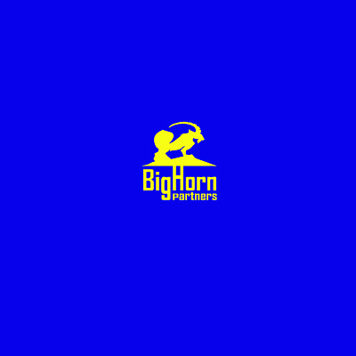 Bighorn Partner's iconic logo abstract branding graphic design illustration logo typography