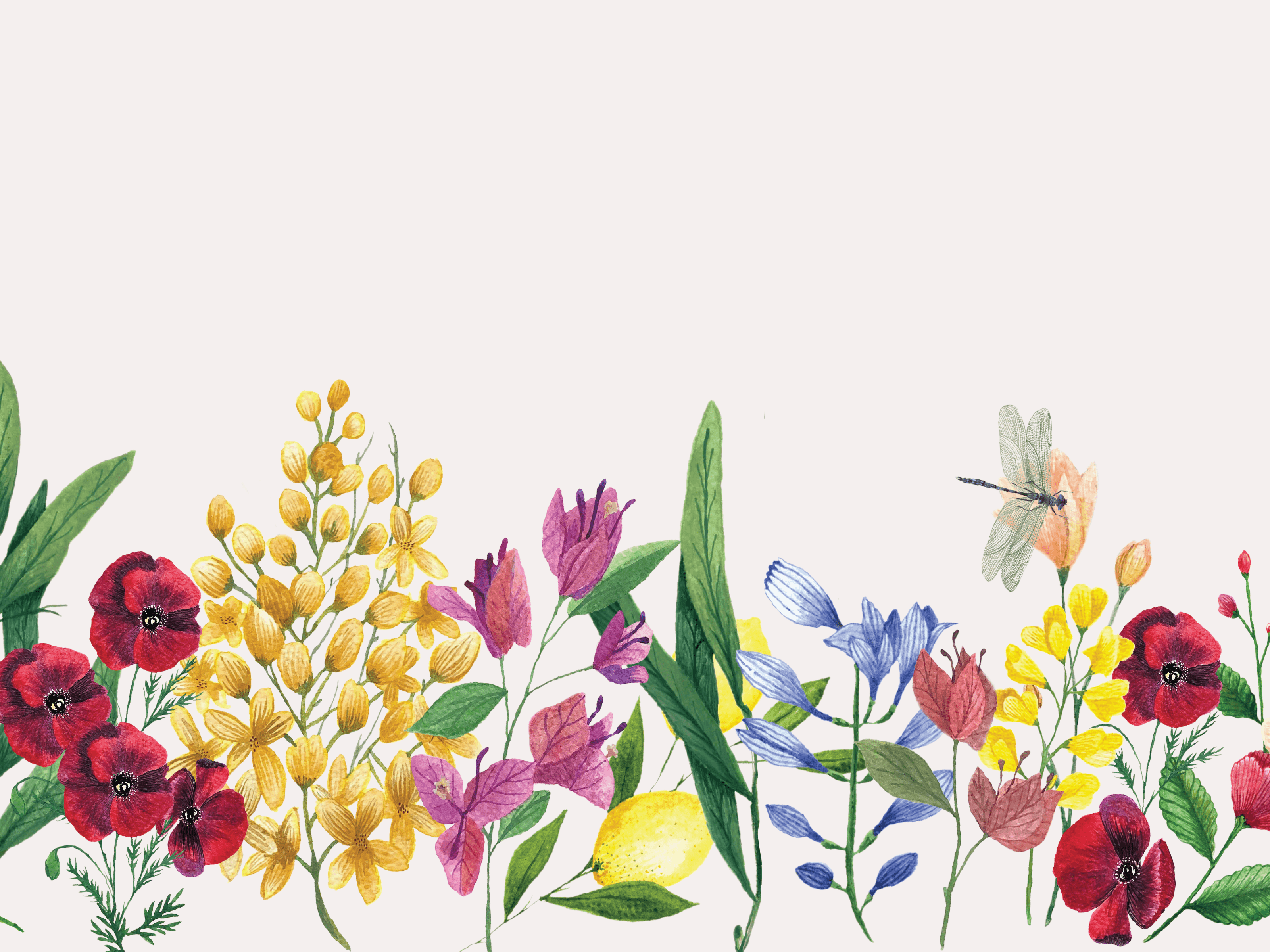 Blossom dream design details flowers gouache handmade illustration watercolor