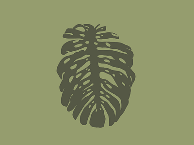 Monstera digital illustration illustration plants procreate