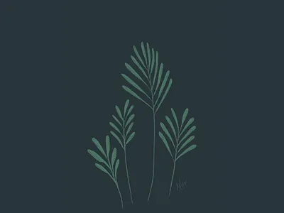 Pirul digitalillustration flowers illustration plants procreate