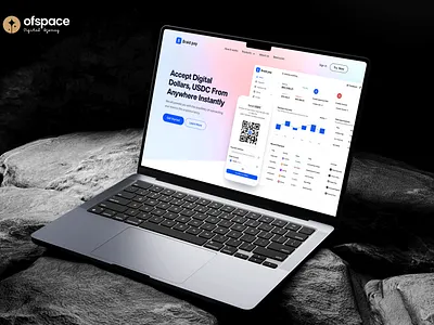 Braidpay Web3 Website 2024 3d animation app branding design finance fintech graphic design illustration ios app landing page logo minimal mobile motion graphics ofspace typography ui ux website