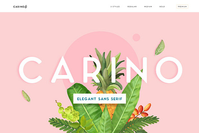 Carino - A Modern Elegant Typeface baby shower font bold font bold fonts bridal font cool fonts design font designer font header font invitations font love font love fonts magazine font outline font playful font sans serif font sign font signage font simple font wedding font wedding fonts