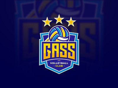 Volleyball Logo in Badge Style badge branding design esport graphic design illustration logo volleyball