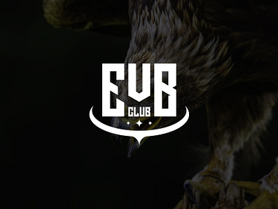 Eagle Volleyball Club branding club eagle esport graphic design logo trong volleyball