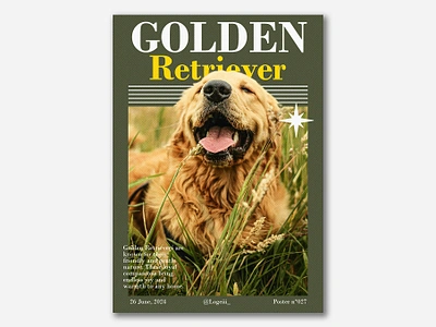 Golden Retriever | Poster 027 design dog golden graphic design poster